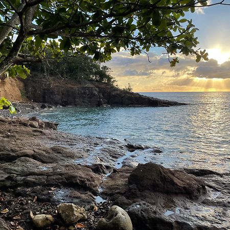 Villa Nature Caraibe Lodge, Vue Mer, Piscine Privee Deshaies Luaran gambar