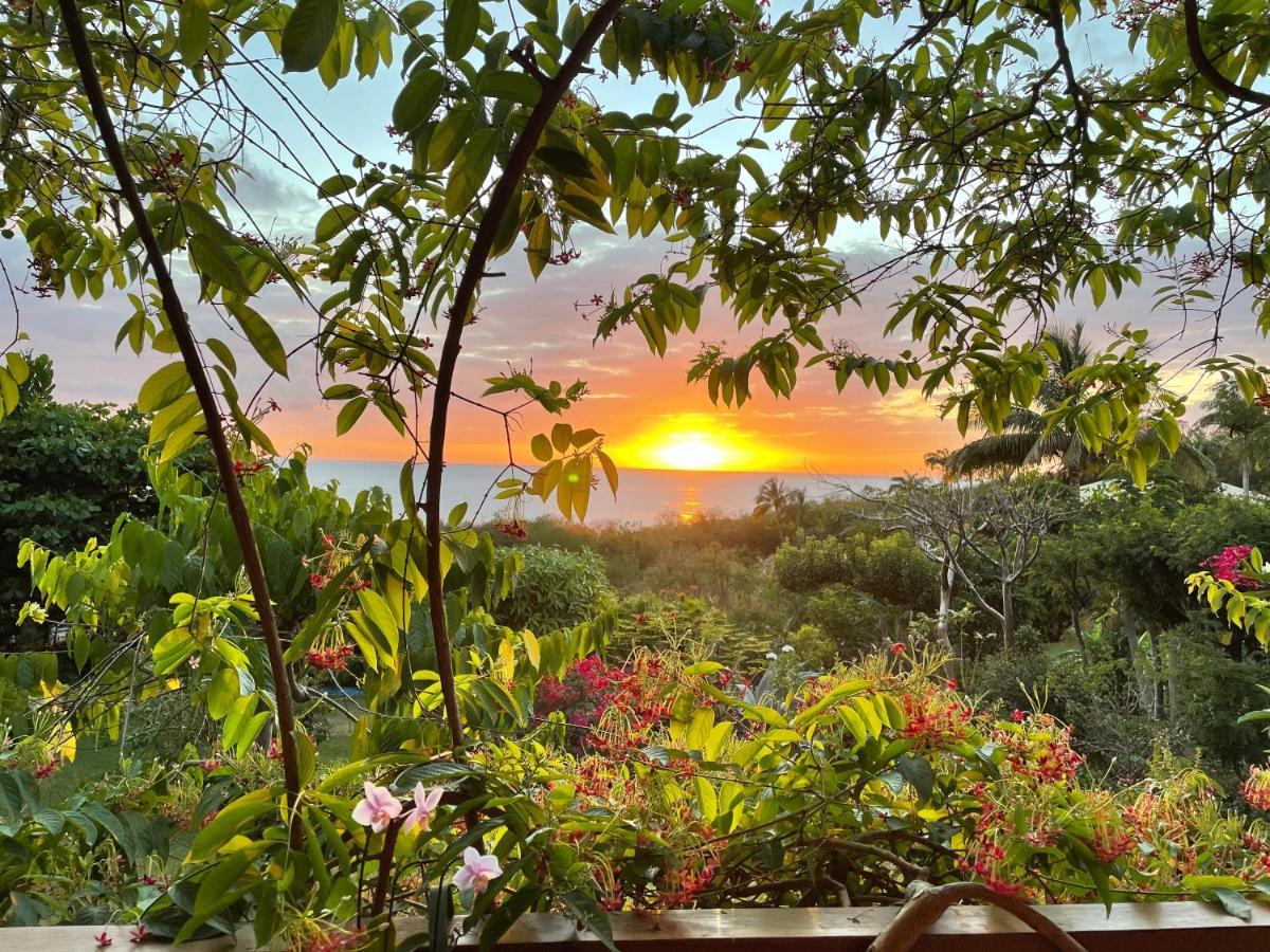 Villa Nature Caraibe Lodge, Vue Mer, Piscine Privee Deshaies Luaran gambar