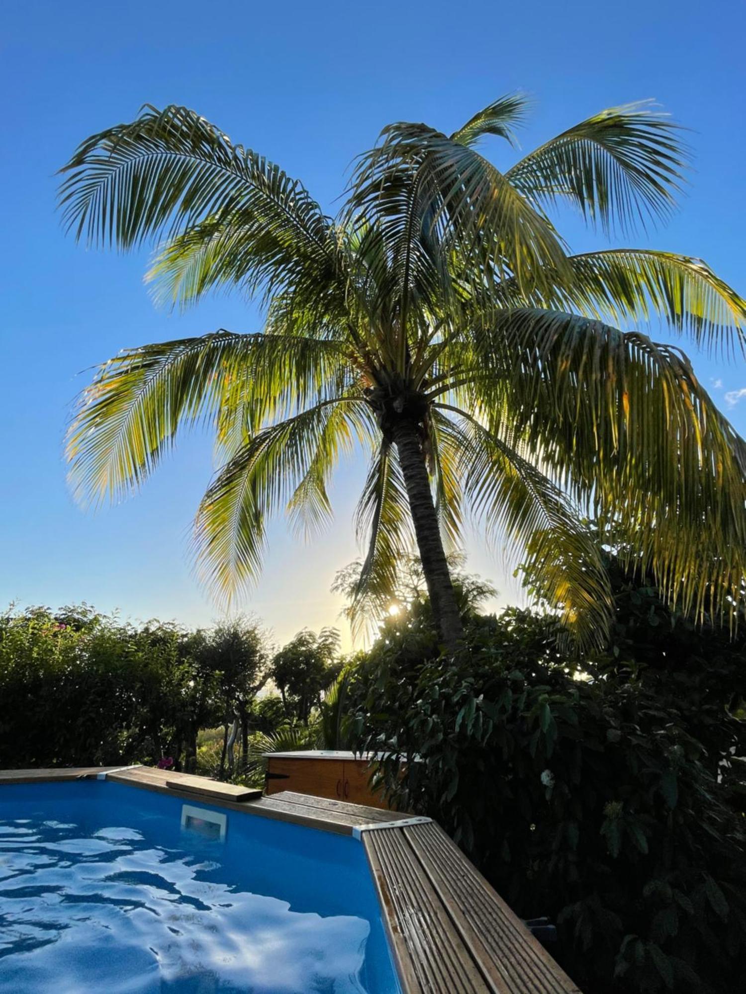Villa Nature Caraibe Lodge, Vue Mer, Piscine Privee Deshaies Luaran gambar